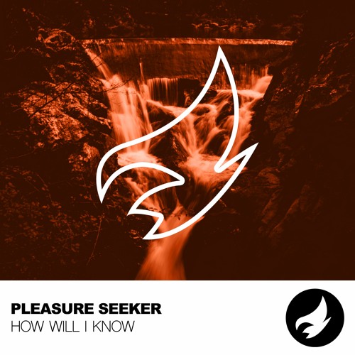Pleasure Seeker | How Will I Know