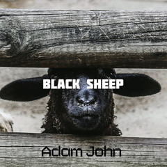 Black Sheep