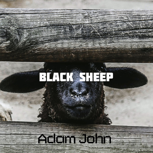 Black Sheep