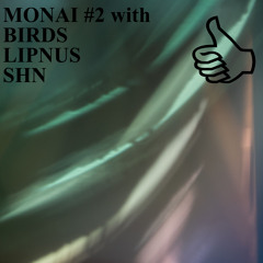 MONAI #2