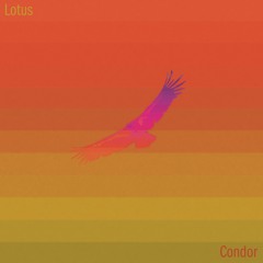 Condor