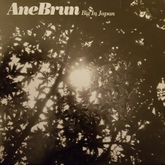 Ane Brun - Big In Japan (Live)