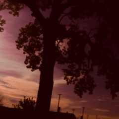 one - EVILGANGEVILGANG >:3