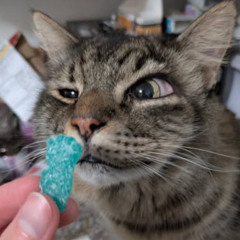 jerkin it #goonmaster