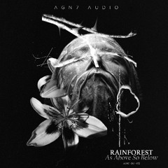 Rainforest - Underdog