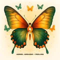 Adriel Arduino - Feeling [Journey of the Soul]