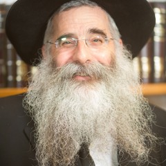 Rabbi Kaplan - Advanced Chassidus