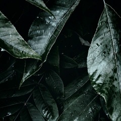 oskar_czs - subkul'tura 420 mix