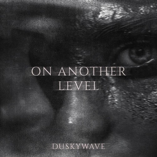 Duskywave - on another level ( free dl )