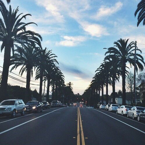Blackbear - Wanderlust (WILDLYFE Remix) *Bass Boosted*