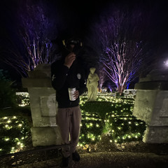 tactxcz p. sytruzbeatz x arvidtheplug