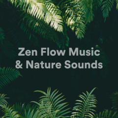 Zen Flow Music & Nature Sounds 🌱