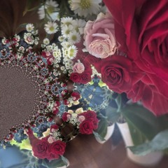 CamCo - PACIFICA Medium 25' Test