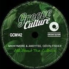 Micky More & Andy Tee, Cevin Fisher - All About The Culture (Extended Mix)