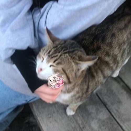 Моя любовь на пятом этаже