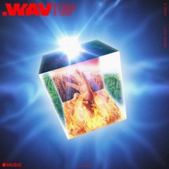 White Tee (travis scott & young thug for wav. radio)