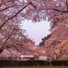 ineedyoubutidont(prod LeyendaRob + Quis + Blizzymp3)