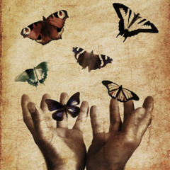 Set You Free