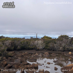 Vivid Corals w/ violet U. - August 22nd 2025