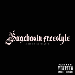 bagchasin freestyle (FEAT. RØDRIGU3Z)