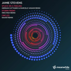 Premiere: Jamie Stevens - Storm Front (Mike Rish Remix) [Meanwhile]