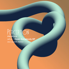 PREMIERE: ort.z - Open Somebody [PRCP008]