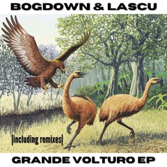 Bogdown - Grande (Lascu Remix)
