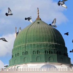 أَيّهَا الْمُشْتَاقَ لَا تَنِمُّ || توفيق المنجد