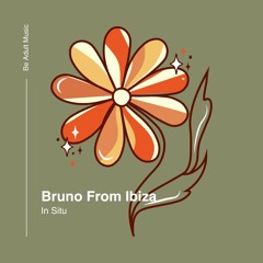 Bruno From Ibiza - In Situ (Original Mix) [Out 22nd Aug 2024]
