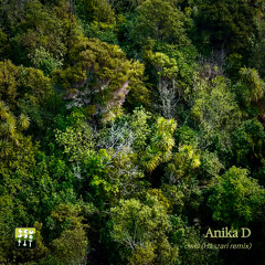 Owls (Haszari woodland dub remix)