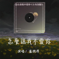 卢润泽 - 怎么说我不爱你 「绕了一圈那短暂快感之后的空荡」【動態歌詞/pīn yīn gē cí】 #卢润泽#怎么说我不爱你 #動態歌詞 #LyricsVideo