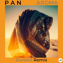 P A N - Aroma (Dune45 Remix)