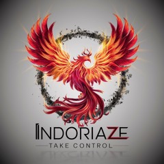 Indoriaze - Take Control