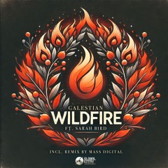 Wildfire (Extended Mix)