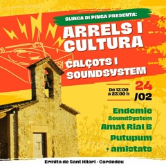 ENDEMIC SOUND (ROUND 2) @St Hilari Cardedeu 24.02.24