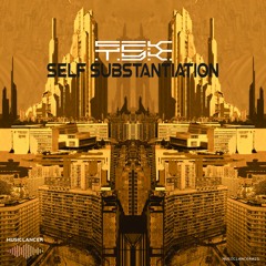 11. Sektyk - Self Substantiation(Original Mix)