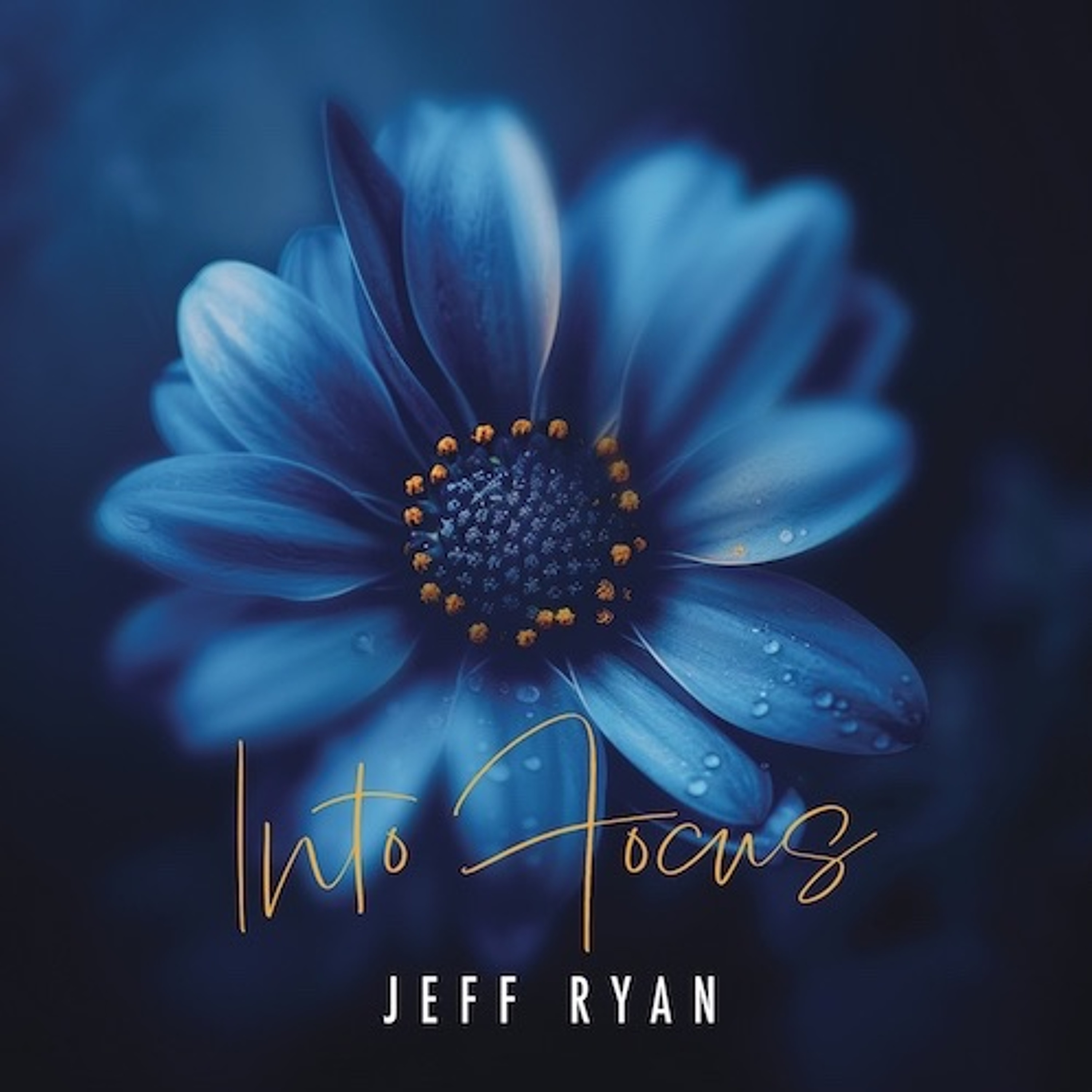 Jeff Ryan : Into Focus episode artwork