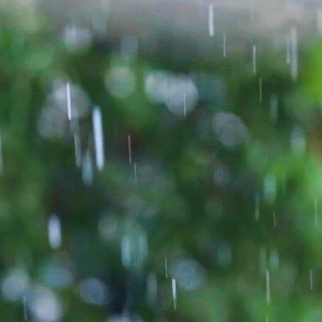 Stream Relaxing Music & Soft Rain Sounds - Peaceful Piano Music for ...
