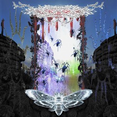 BAD PORTAL NO GOOD