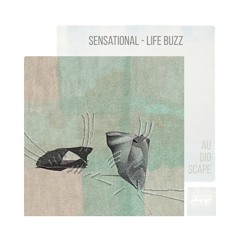 Sensational - Life Buzz