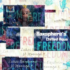 Zakes Bantwini ft Moonga K.-Freedom(Baxsphere's chilled aqua)