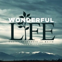 Robert Georgescu And White - Wonderful Life (Cover Remix) (AFRO HOUSE)