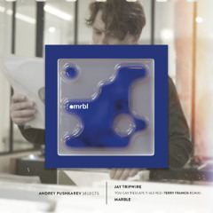 Andrey Pushkarev Selects | Jay Tripwire - You Can't Escape Thad Red (Terry Francis Remix) [Marble]
