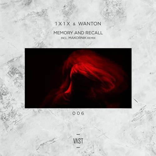 Vast perception - Memory and recall EP