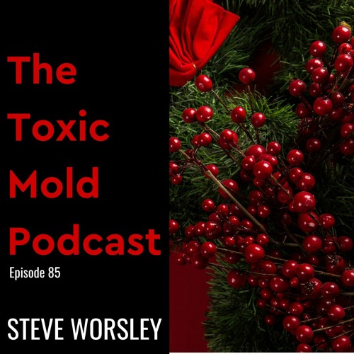 EP 85: Ways to Prevent a Moldy Merry Christmas