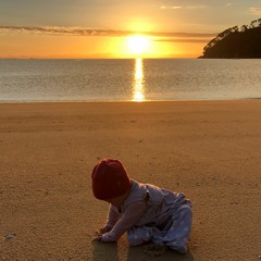 Summer Vibes (December 2023)