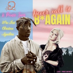 Never call U b* again - 2Pac feat Christina Aguilera {Electro Funky Sam VIII}