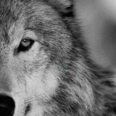 Эльбрус Джанмирзоев - Бродяга (remix by _ycprod)