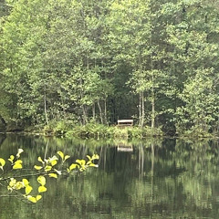 Spingsule (24) w_ SHN 25 September, 2025