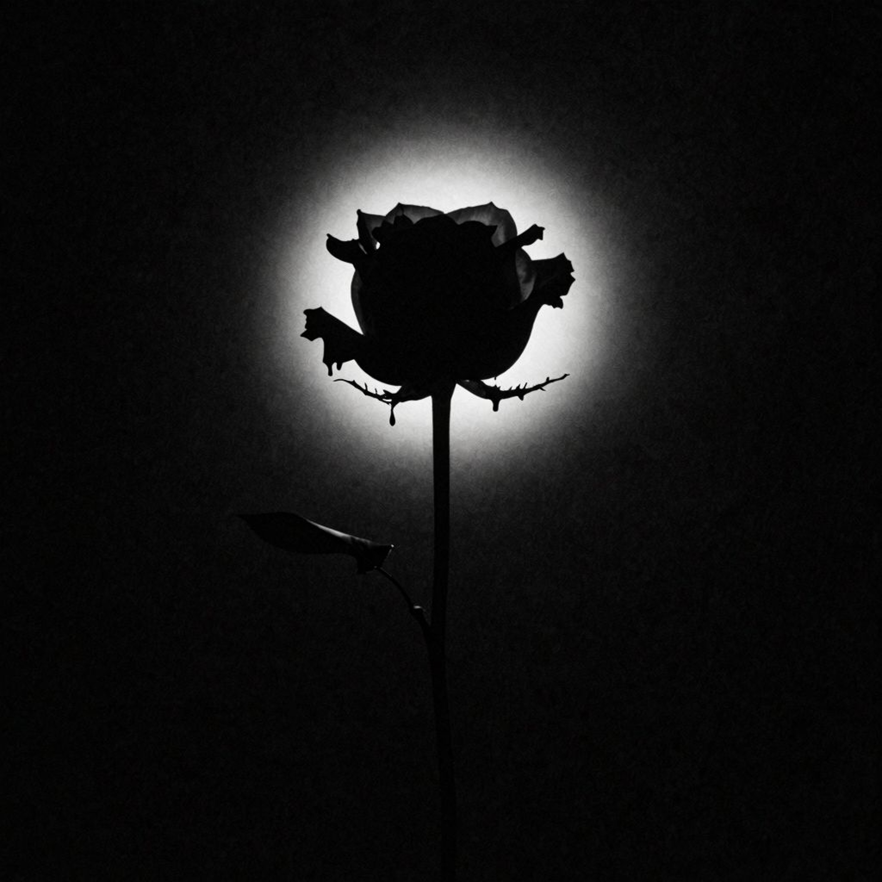 Fall In Love (Phantogram Cover) episode artwork